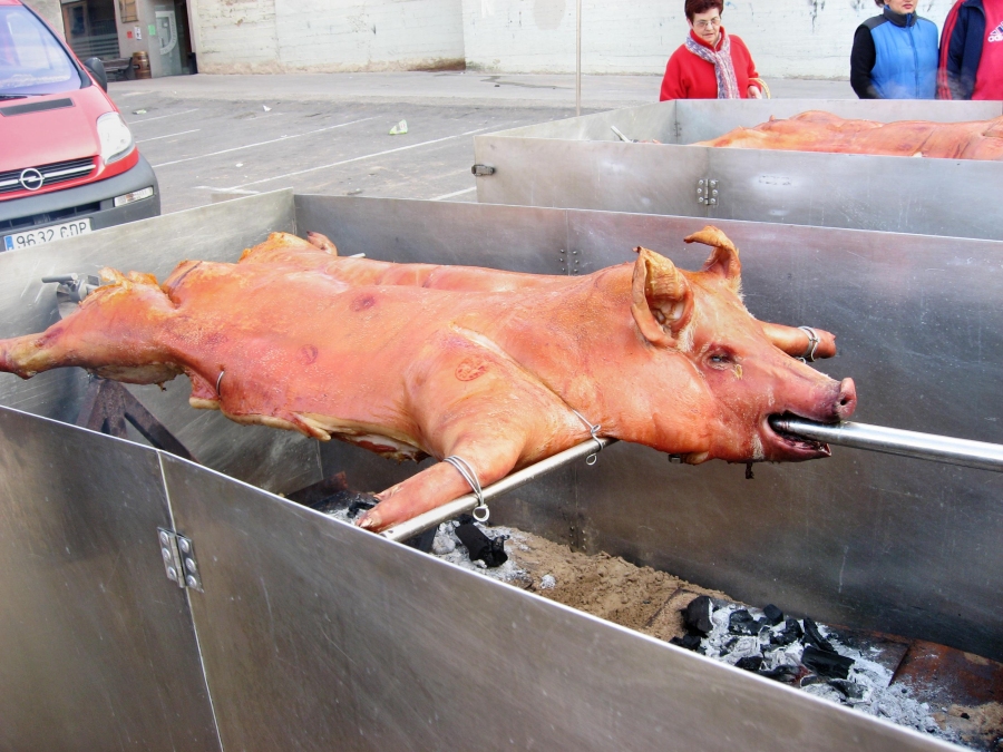 cochinillo005.jpg